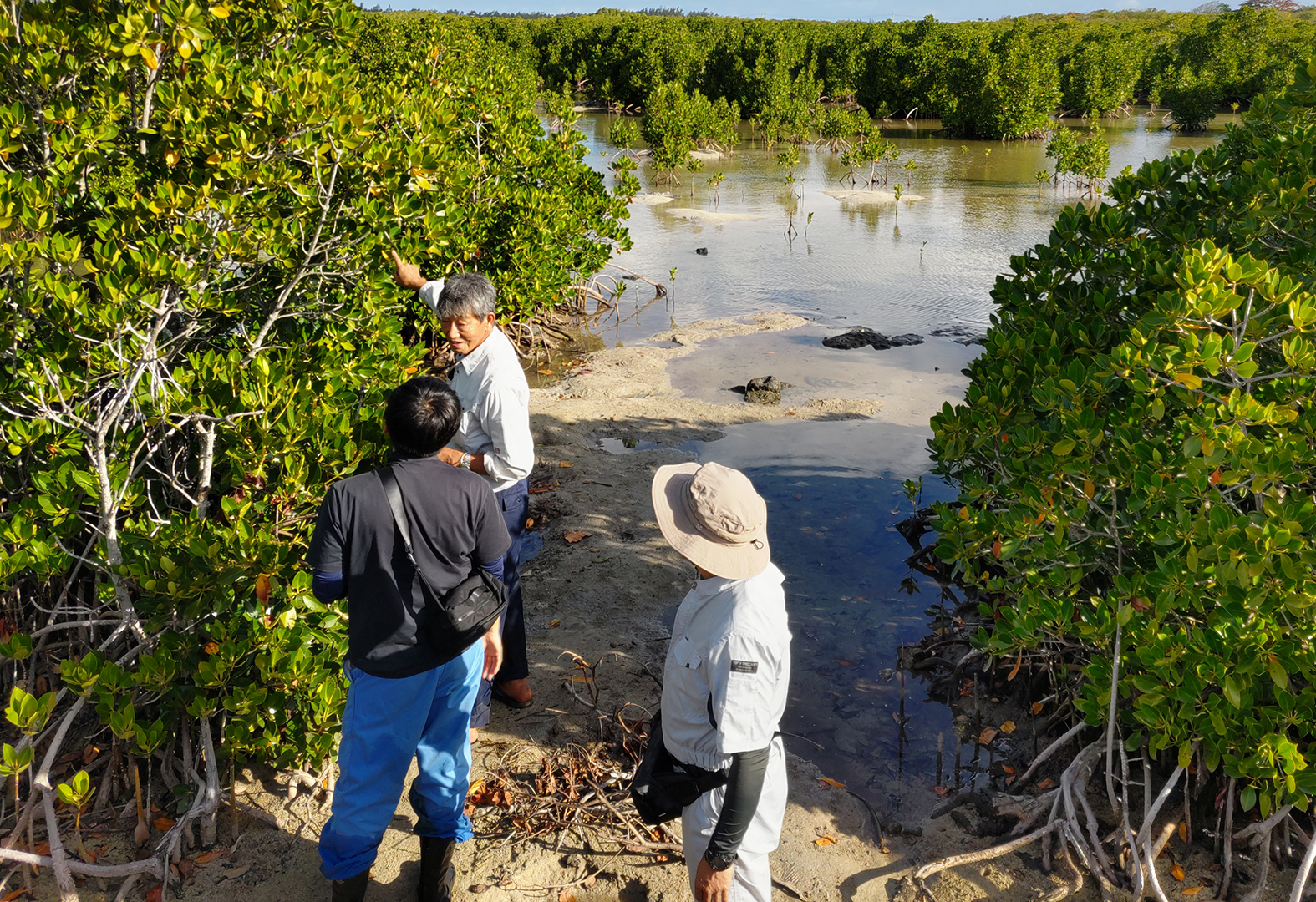 The results of the research project funded by the MOL Mauritius International Fund - Two papers were published in 2023, Vol. 14 of MANGROVE SCIENCE.